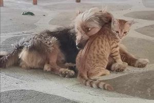 Αγάπη παντού