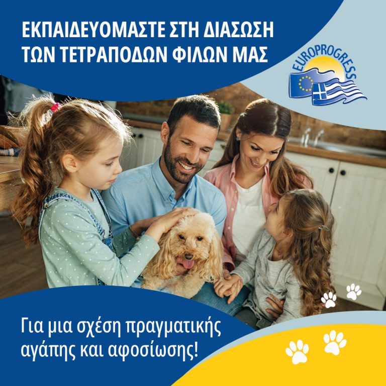 Πρώτες βοήθειες για τον τετράποδο φίλο σου.